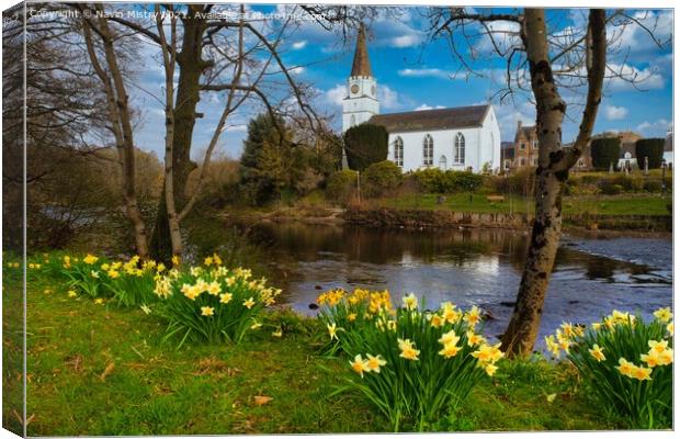 The White Church, Comrie, Perthshire in Spring Canvas Print by Navin Mistry