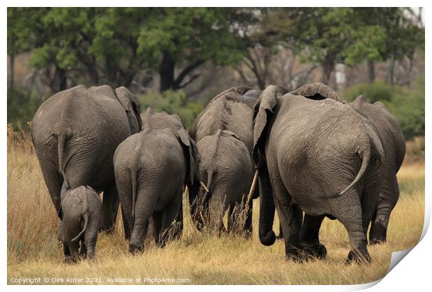 Elephants in the Okavango Delta Print by Dirk Rüter