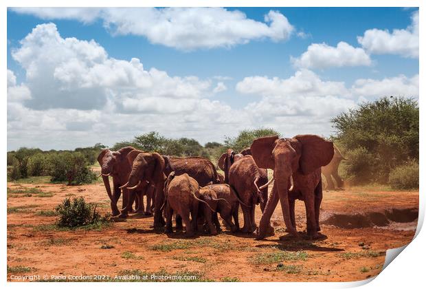 Herd of elephants in africa Print by Paolo Cordoni