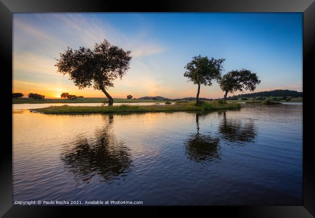 Trees surrounded by water in a lake at sunset Framed Print by Paulo Rocha