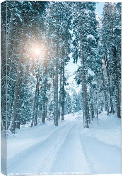 Snowy forest and sun Canvas Print by Paolo Cordoni