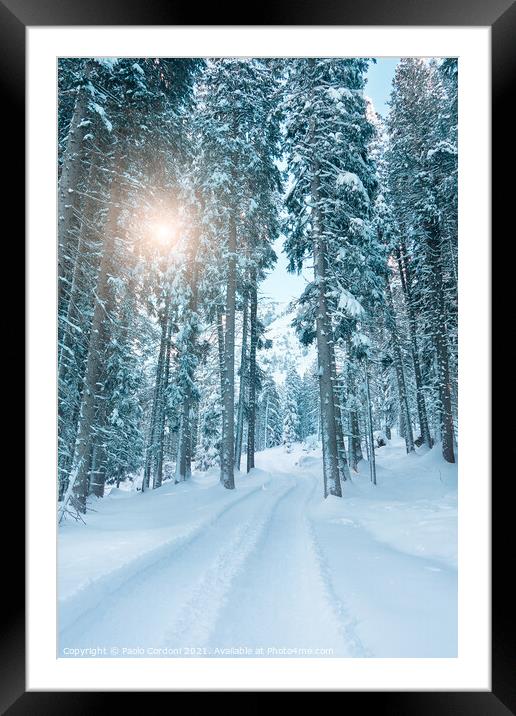 Snowy forest and sun Framed Mounted Print by Paolo Cordoni