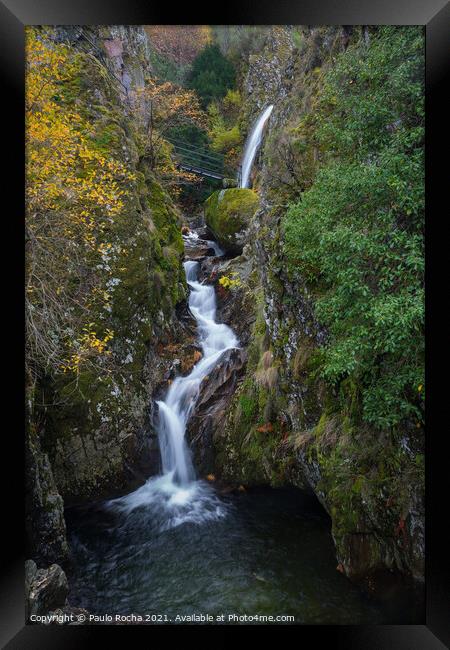 Moutain forest waterfall Framed Print by Paulo Rocha