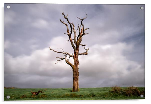 The Fallen Branch Acrylic by Mark Jones