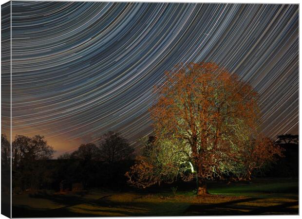 Star trail with lit tree Canvas Print by mark humpage