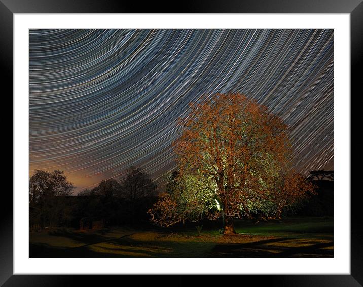 Star trail with lit tree Framed Mounted Print by mark humpage