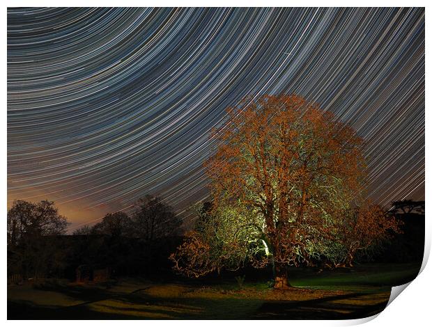 Star trail with lit tree Print by mark humpage