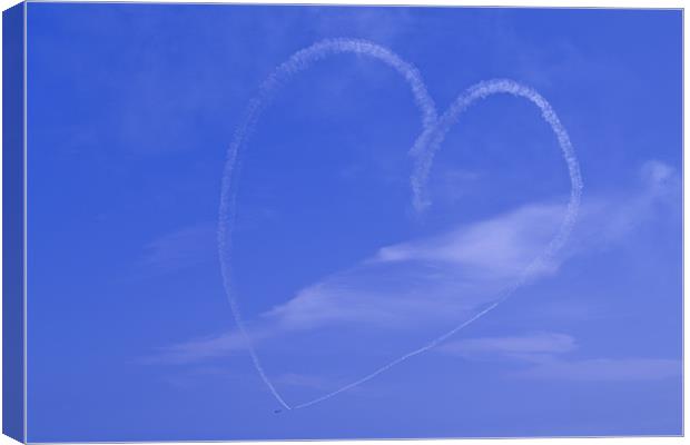 love is in the air. Canvas Print by Northeast Images