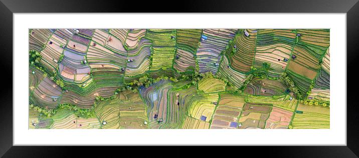 Indonesia bali Rice terraces aerial from above Framed Mounted Print by Sonny Ryse