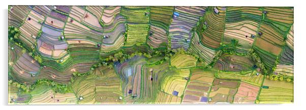 Indonesia bali Rice terraces aerial from above Acrylic by Sonny Ryse