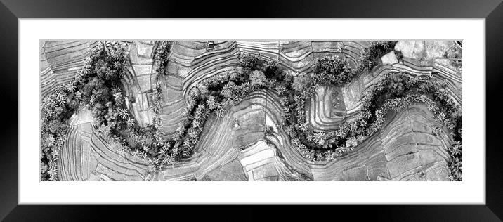 Indonesia rice terraces aerial from above bali black and white Framed Mounted Print by Sonny Ryse