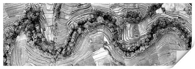 Indonesia rice terraces aerial from above bali black and white Print by Sonny Ryse