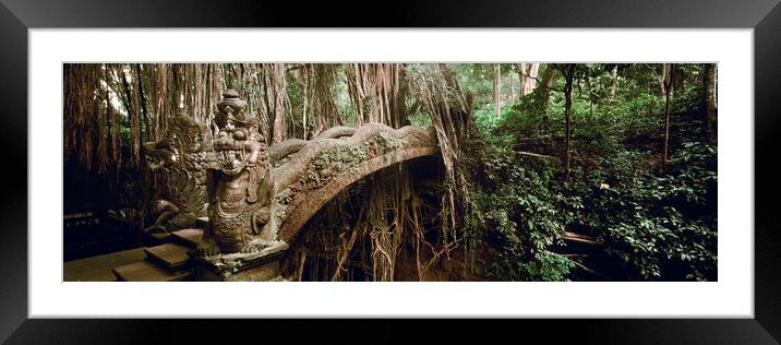Monkey Forest Bali Indonesia Framed Mounted Print by Sonny Ryse