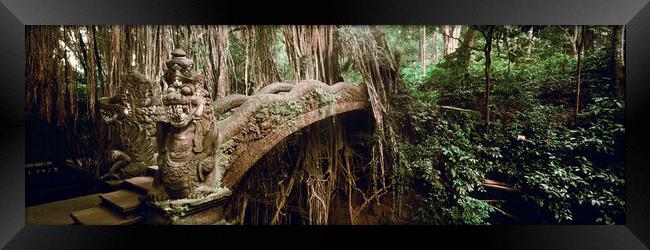 Monkey Forest Bali Indonesia Framed Print by Sonny Ryse