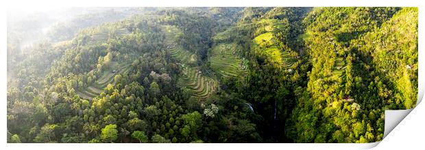 Sekumpul Rice terraces Bali Indonesia Print by Sonny Ryse
