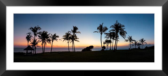 Sunset Palm Trees Framed Mounted Print by Sonny Ryse