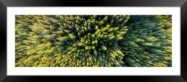Forest Aerial from above ireland Framed Mounted Print by Sonny Ryse