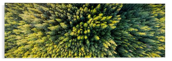 Forest Aerial from above ireland Acrylic by Sonny Ryse