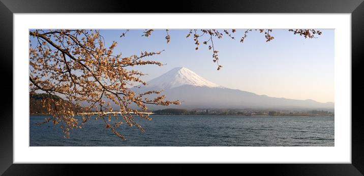 Mount Fuji Cherry Blossom Japan Framed Mounted Print by Sonny Ryse