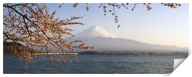 Mount Fuji Cherry Blossom Japan Print by Sonny Ryse