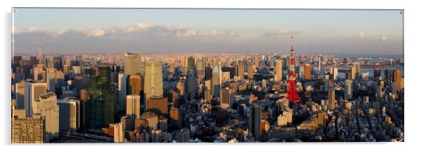 Tokyo Skyline Japan Acrylic by Sonny Ryse