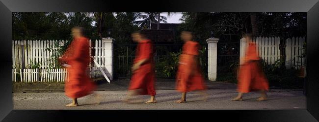 Luang Prabang Buddhist Monks Alms Giving Ceremony Laos 2 Framed Print by Sonny Ryse