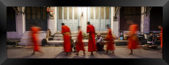 Luang Prabang Buddhist Monks Alms Giving Ceremony Laos 3 Framed Print by Sonny Ryse