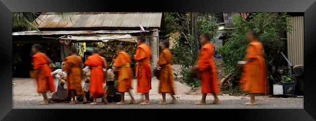 Luang Prabang Buddhist Monks Alms Giving Ceremony Laos Framed Print by Sonny Ryse