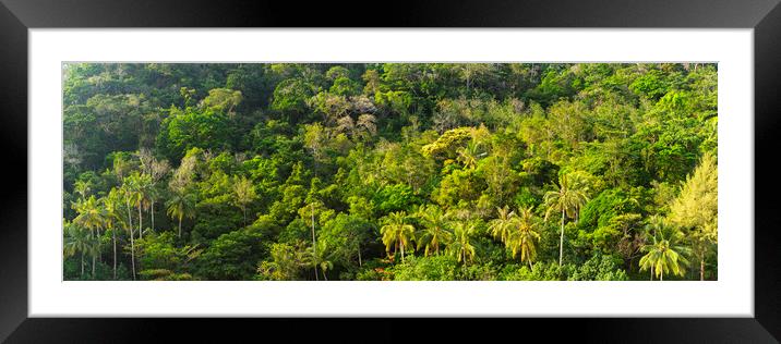Malaysian jungle Framed Mounted Print by Sonny Ryse
