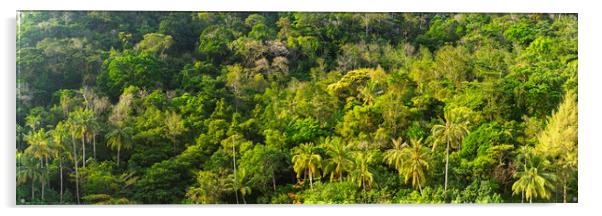 Malaysian jungle Acrylic by Sonny Ryse