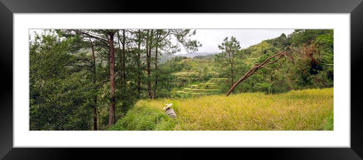 Banaue Rice terraces Philippines Framed Mounted Print by Sonny Ryse