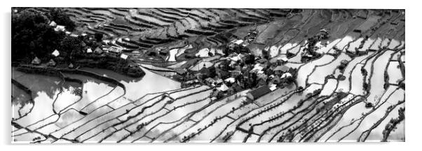 Batad Rice terraces Black and white Banaue Acrylic by Sonny Ryse