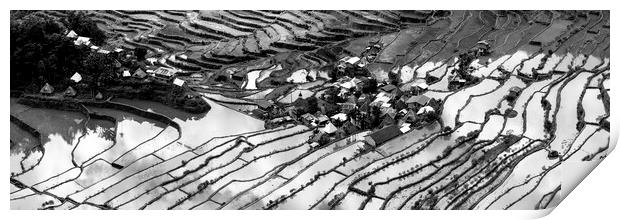 Batad Rice terraces Black and white Banaue Print by Sonny Ryse