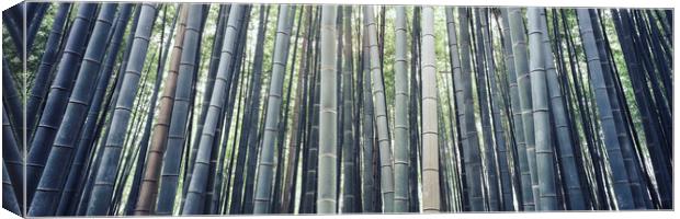 Japanese Bamboo Canvas Print by Sonny Ryse