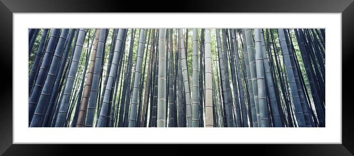 Japanese Bamboo Framed Mounted Print by Sonny Ryse