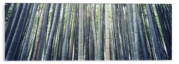Japanese Bamboo Acrylic by Sonny Ryse