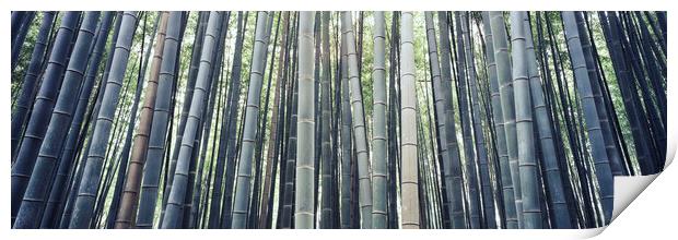 Japanese Bamboo Print by Sonny Ryse