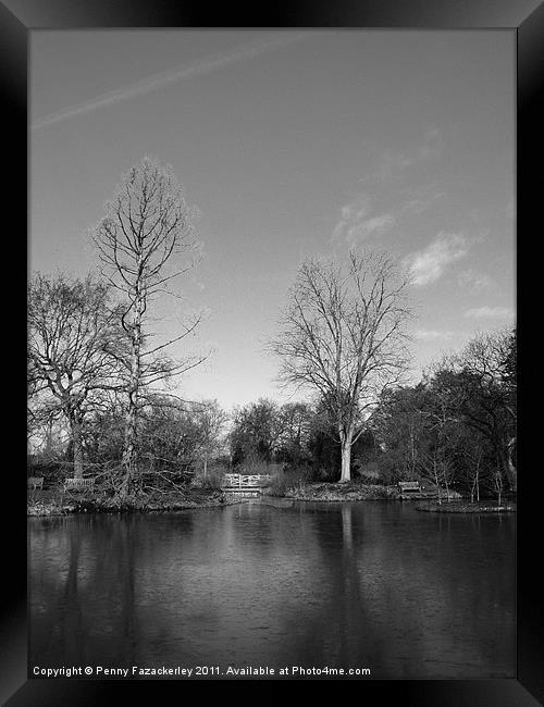 Lake at Wisley Gardens Framed Print by Penny Fazackerley