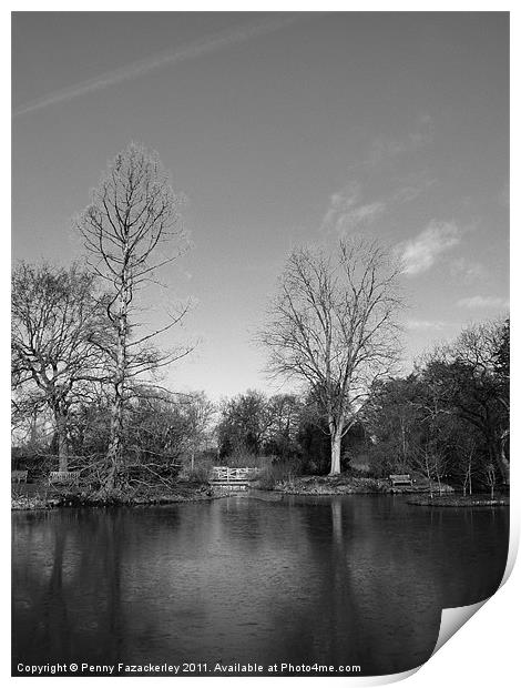 Lake at Wisley Gardens Print by Penny Fazackerley