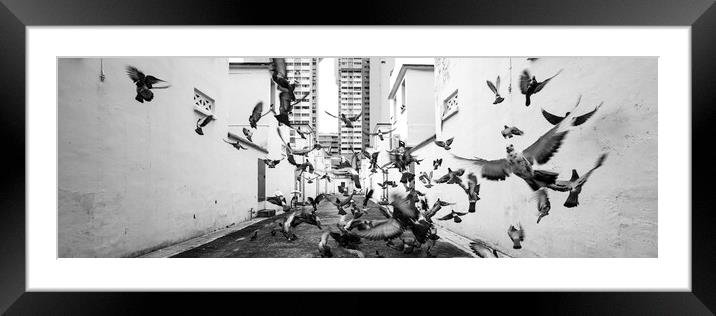 Little India street scene black and white Singapore. 2 Framed Mounted Print by Sonny Ryse