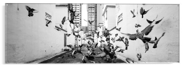 Little India street scene black and white Singapore. 2 Acrylic by Sonny Ryse