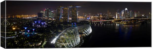 Singapore Gardens by the bay at night Canvas Print by Sonny Ryse