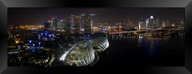Singapore Gardens by the bay at night Framed Print by Sonny Ryse