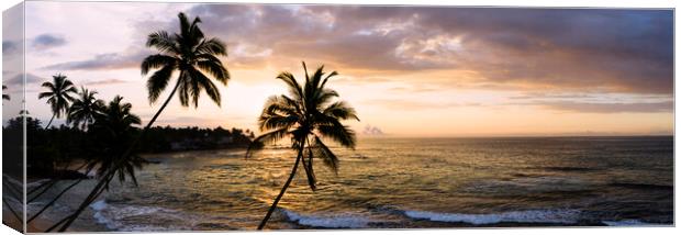 Sri Lanka beach and palm trees sunset Canvas Print by Sonny Ryse