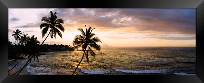 Sri Lanka beach and palm trees sunset Framed Print by Sonny Ryse