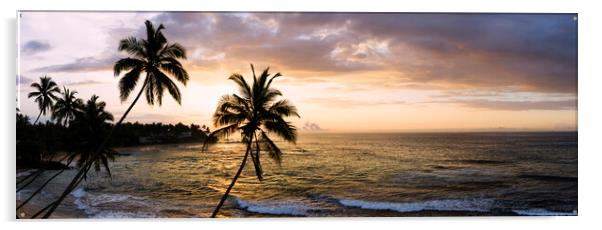Sri Lanka beach and palm trees sunset Acrylic by Sonny Ryse