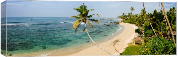 Sri Lanka beach and palm trees Canvas Print by Sonny Ryse