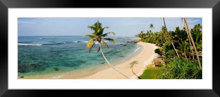 Sri Lanka beach and palm trees Framed Mounted Print by Sonny Ryse