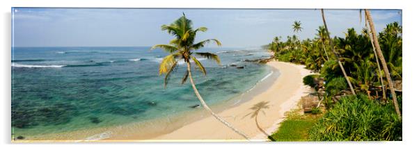 Sri Lanka beach and palm trees Acrylic by Sonny Ryse