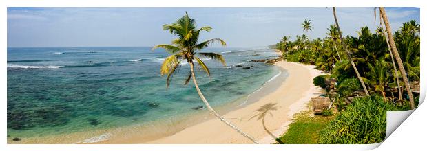 Sri Lanka beach and palm trees Print by Sonny Ryse